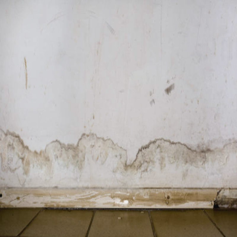 water-damage-wall-800x800 Wall water damage and mold stains from indoor moisture problem